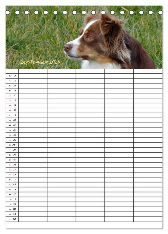 Produktbild: Bauernhoftiere Familienplaner (Tischkalender 2026 DIN A5 hoch), CALVENDO Monatskalender