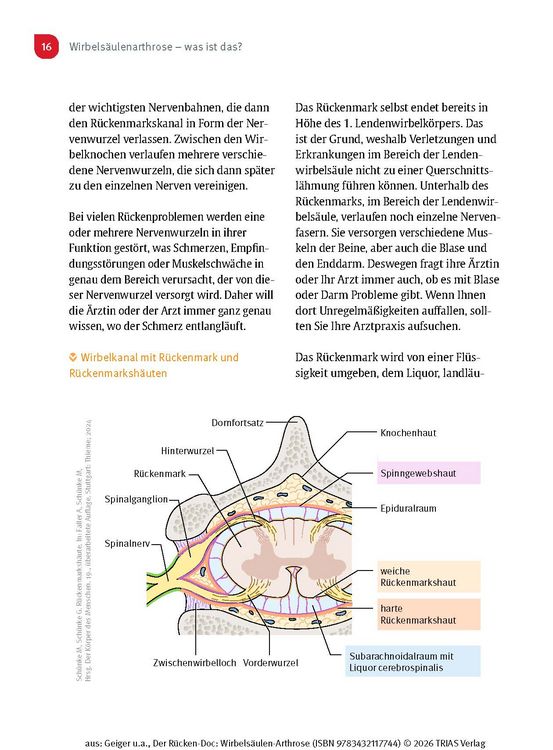 Produktbild: Der R&uuml;cken-Doc: Wirbels&auml;ulen-Arthrose