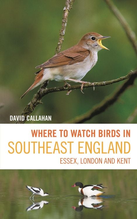Produktbild: Where to Watch Birds in Southeast England