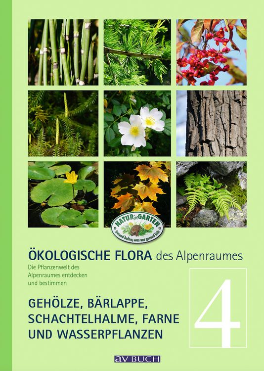 Produktbild: &Ouml;kologische Flora des Alpenraumes, Band 4