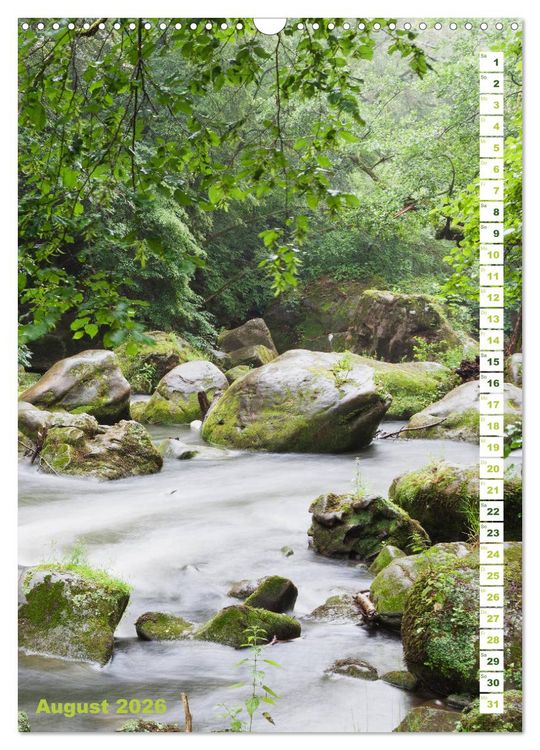 Produktbild: EIFEL - Kraftorte Wald und Wasser (Wandkalender 2026 DIN A3 hoch), CALVENDO Monatskalender