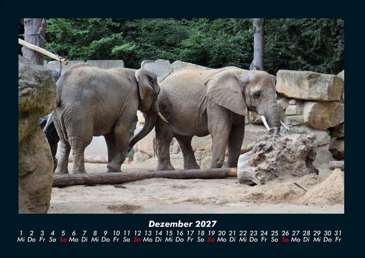 Produktbild: Der Elefantenkalender 2027 Fotokalender DIN A4