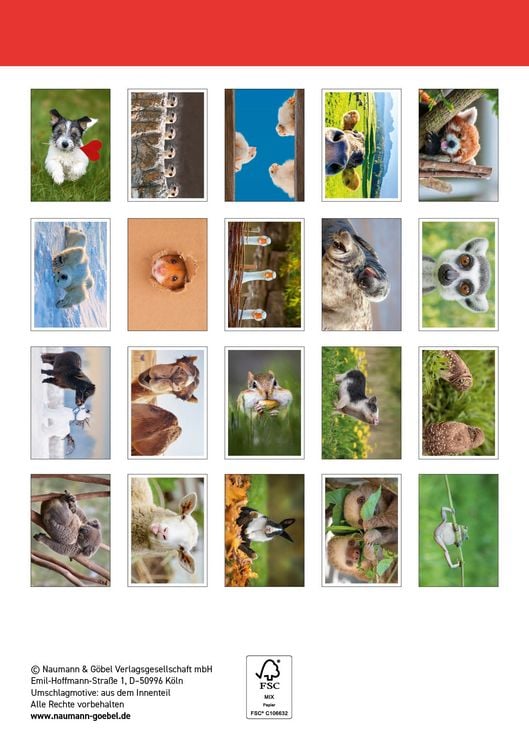 Produktbild: Postkartenblock Lustige Tiere