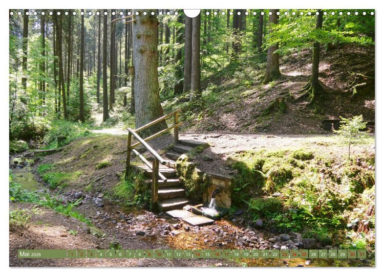 Produktbild: Bad Sachsa - Landschaftsmomente im S&uuml;dharz (Wandkalender 2026 DIN A3 quer), CALVENDO Monatskalender