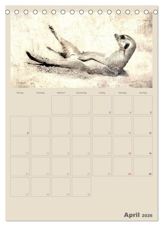 Produktbild: Lustige Erdm&auml;nnchen (Tischkalender 2026 DIN A5 hoch), CALVENDO Monatskalender