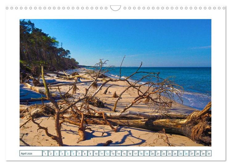 Produktbild: Der Weststrand am Dar&szlig; (Wandkalender 2026 DIN A3 quer), CALVENDO Monatskalender