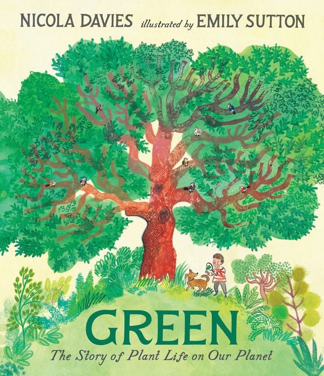 Produktbild: Green: The Story of Plant Life on Our Planet