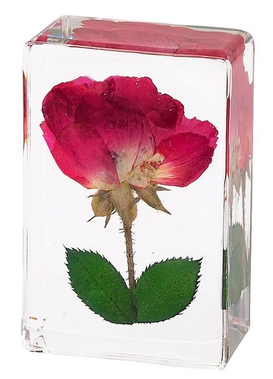 Produktbild: Blatt & Bl&uuml;te Forever Flowers