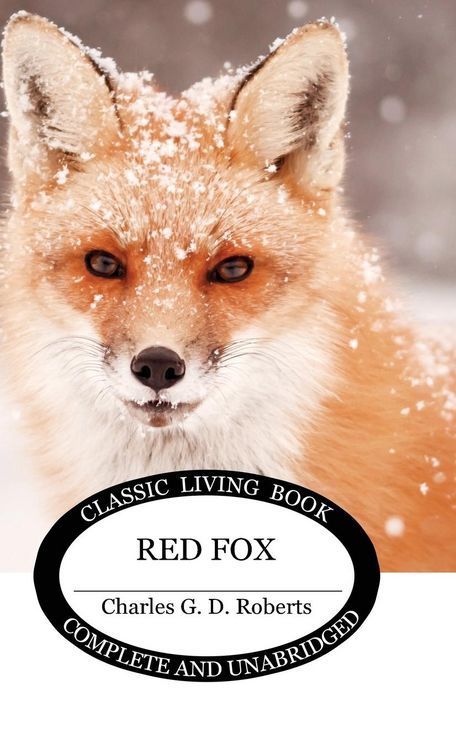 Produktbild: Red Fox