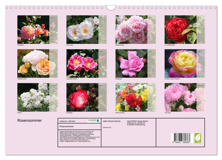 Produktbild: Rosensommer (Wandkalender 2026 DIN A3 quer), CALVENDO Monatskalender