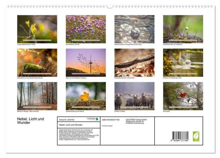 Produktbild: Nebel, Licht und Wunder (hochwertiger Premium Wandkalender 2027 DIN A2 quer), Kunstdruck in Hochglanz