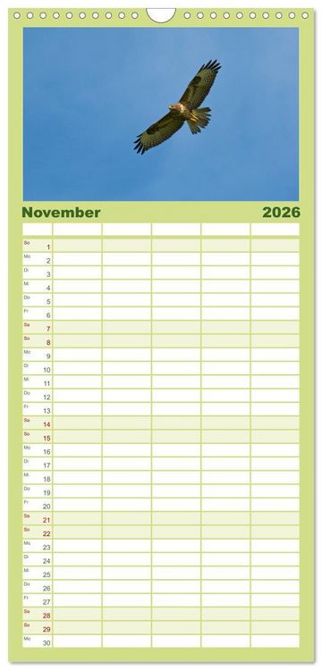 Produktbild: Familienplaner 2026 - Heimische V&ouml;gel mit 5 Spalten (Wandkalender, 21 x 45 cm) CALVENDO