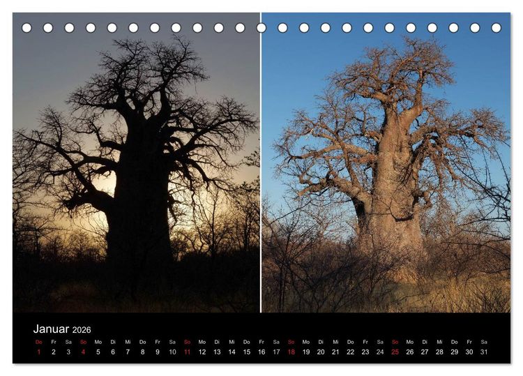 Produktbild: Naturerlebnis Botswana (Tischkalender 2026 DIN A5 quer), CALVENDO Monatskalender