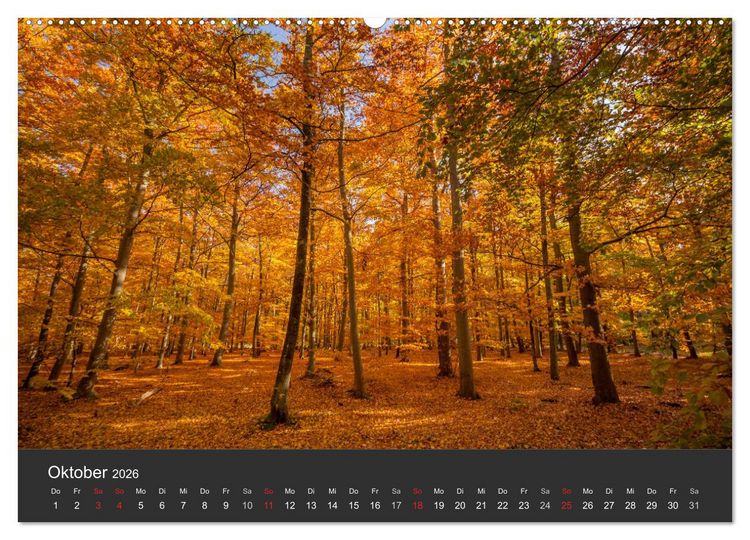 Produktbild: Mecklenburg-Vorpommern (hochwertiger Premium Wandkalender 2026 DIN A2 quer), Kunstdruck in Hochglanz