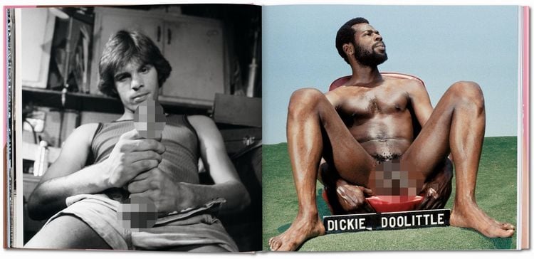 Produktbild: The Big Penis Book