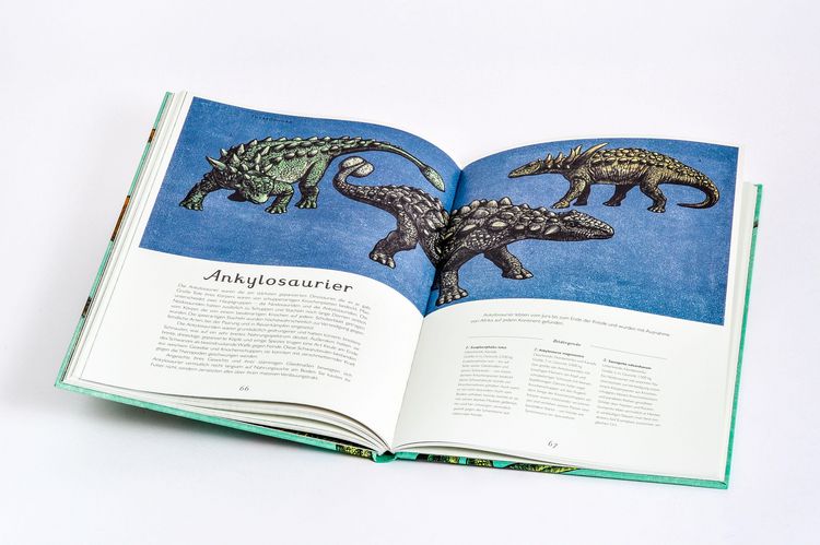 Produktbild: Das Museum der Dinosaurier
