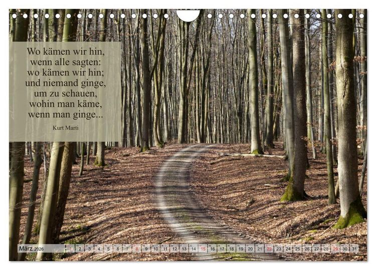 Produktbild: Weises (Wandkalender 2026 DIN A4 quer), CALVENDO Monatskalender