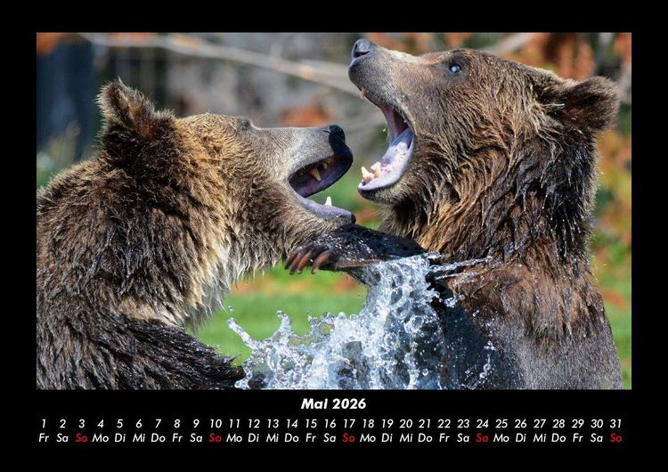 Produktbild: Tierkalender 2026 Fotokalender DIN A3