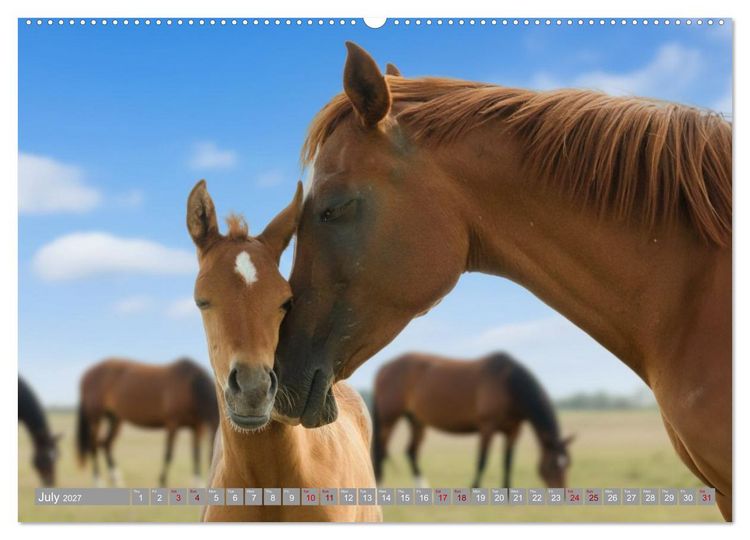 Produktbild: The Magic of Happy Foals (High Quality Premium Wall Calendar 2027 DIN A2 landscape),CALVENDO 12 Month Wall Calendar