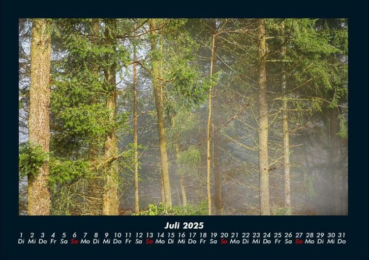 Produktbild: Waldzauber 2025 Fotokalender DIN A4