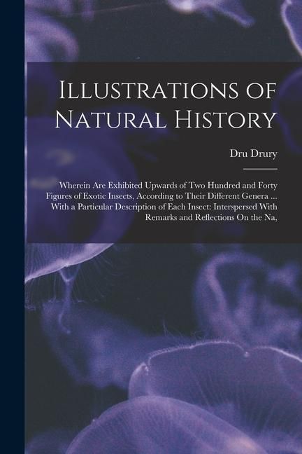 Produktbild: Illustrations of Natural History: Wherein Are Exhibited Upwards of Two Hundred and Forty Figures of Exotic Insects, According to Their Different Gener
