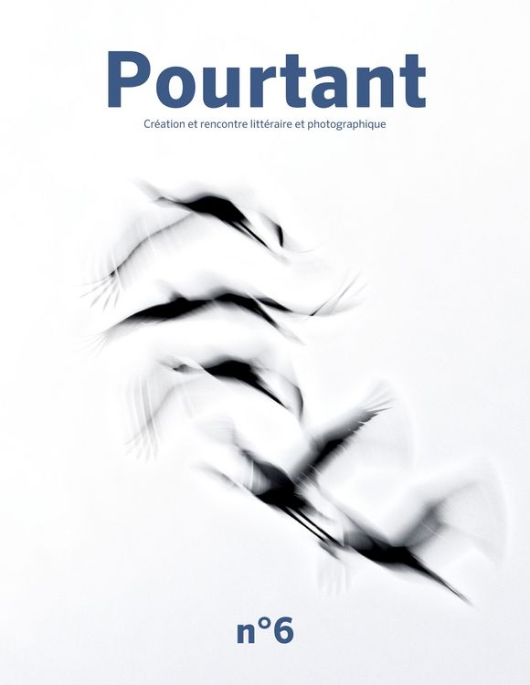 Produktbild: Pourtant n&deg;6