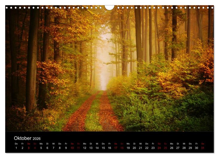 Produktbild: Der Waldspaziergang (Wandkalender 2026 DIN A3 quer), CALVENDO Monatskalender
