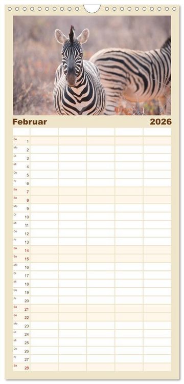 Produktbild: Familienplaner 2026 - Namibia - Sehnsucht der Ferne mit 5 Spalten (Wandkalender, 21 x 45 cm) CALVENDO