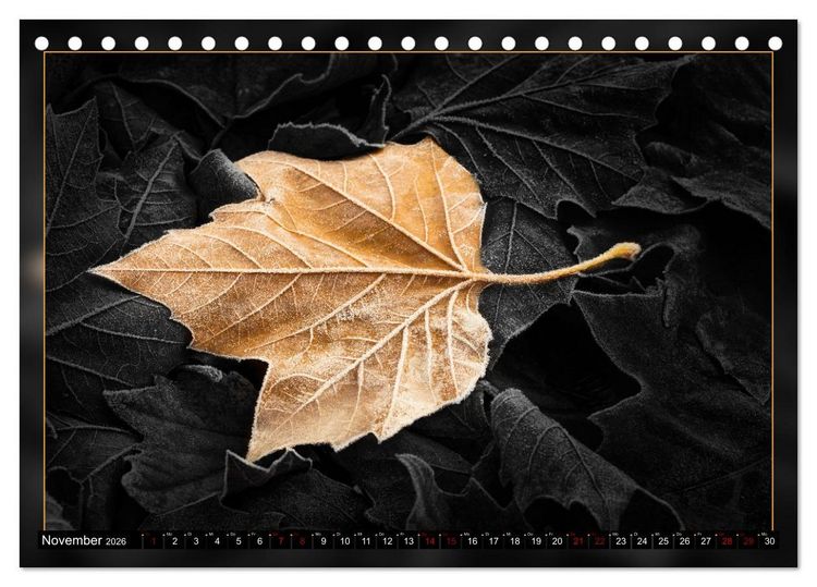 Produktbild: Blattkunstwerke (Tischkalender 2026 DIN A5 quer), CALVENDO Monatskalender