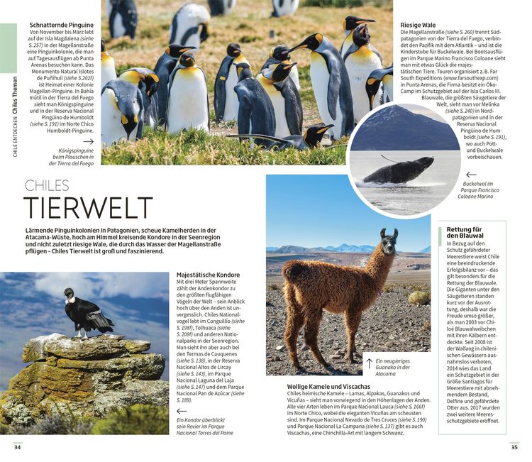 Produktbild: Vis-à-Vis Reiseführer Chile & Osterinsel