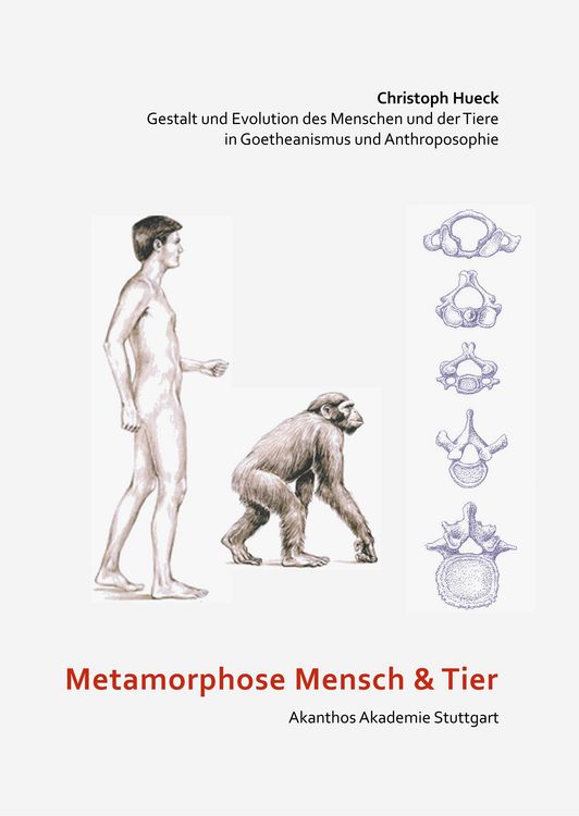 Produktbild: Metamorphose Mensch und Tier