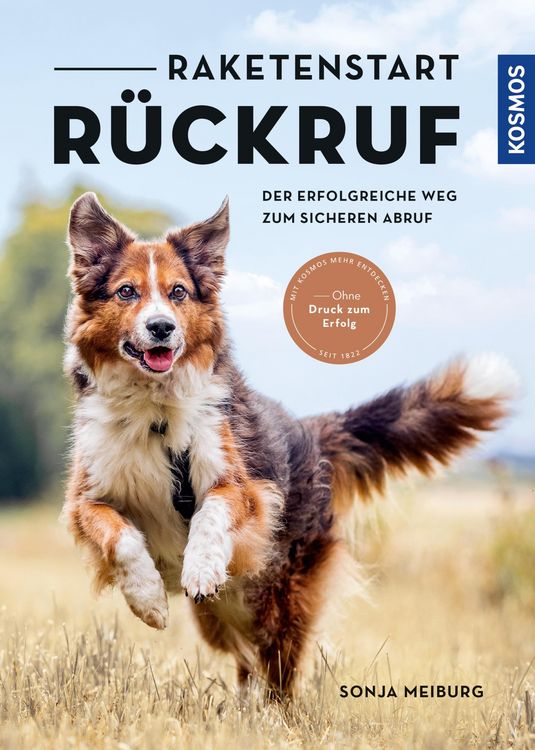 Produktbild: Raketenstart-R&uuml;ckruf