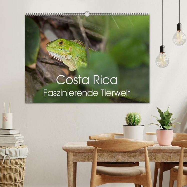 Produktbild: Costa Rica. Faszinierende Tierwelt (Wandkalender 2026 DIN A2 quer), CALVENDO Monatskalender