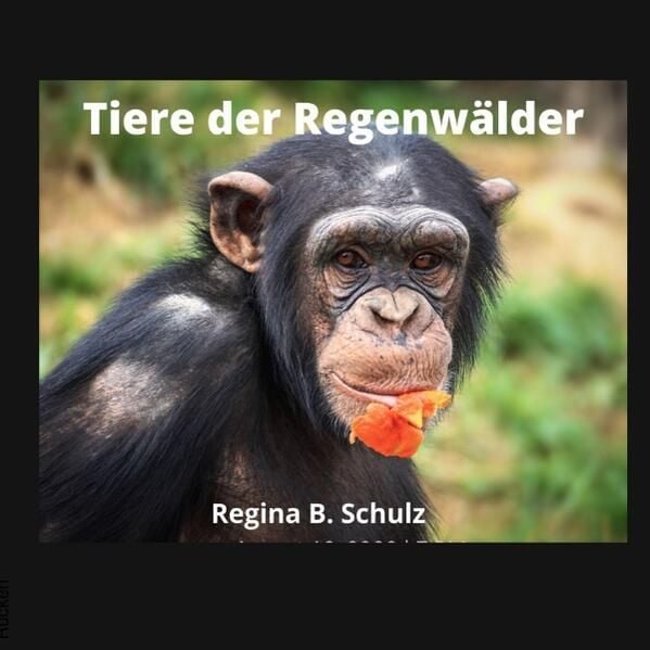 Produktbild: Karla Kullerkeks erz&auml;hlt dir was / Tiere der Regenw&auml;lder