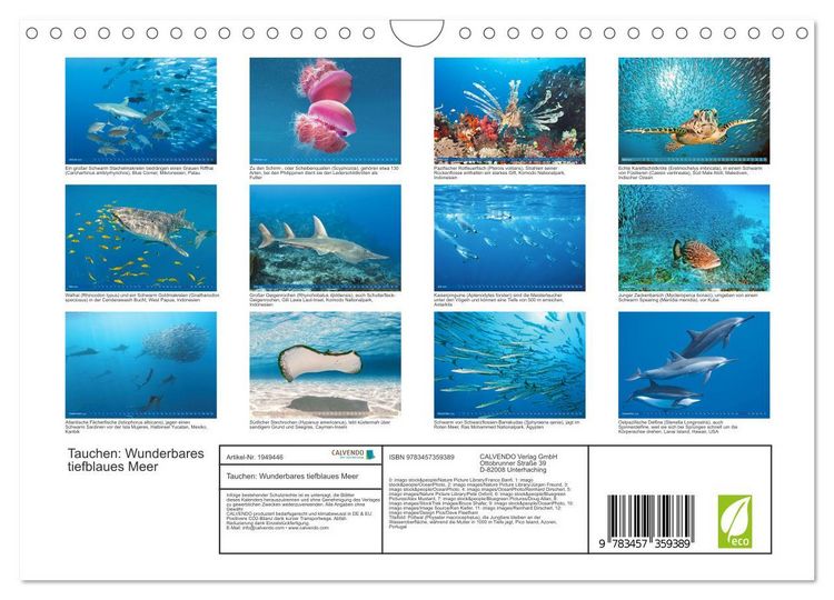 Produktbild: Tauchen: Wunderbares tiefblaues Meer (Wandkalender 2026 DIN A4 quer), CALVENDO Monatskalender