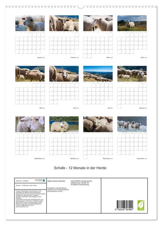 Produktbild: Schafe - 12 Monate in der Herde (hochwertiger Premium Wandkalender 2026 DIN A2 hoch), Kunstdruck in Hochglanz