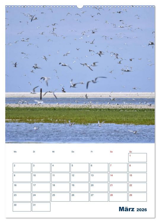 Produktbild: Texel - Momente die verzaubern (Wandkalender 2026 DIN A2 hoch), CALVENDO Monatskalender