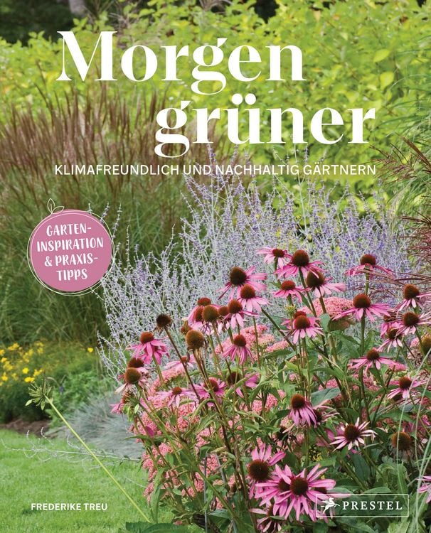 Produktbild: Morgen gr&uuml;ner