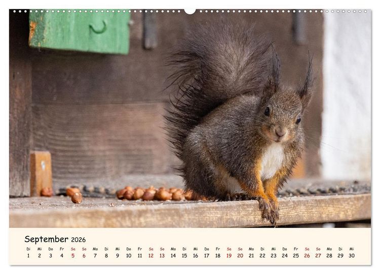 Produktbild: Oachkatzl (Wandkalender 2026 DIN A2 quer), CALVENDO Monatskalender