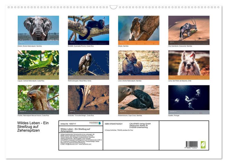 Produktbild: Wildes Leben - Ein Streifzug auf Zehenspitzen (Wandkalender 2026 DIN A2 quer), CALVENDO Monatskalender