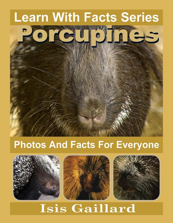 Produktbild: Porcupines Photos and Facts for Everyone (Learn With Facts Series, #91)