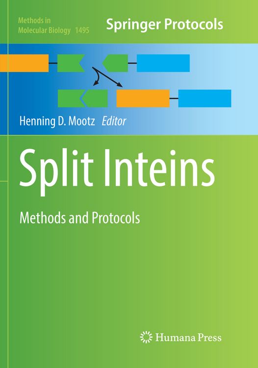 Produktbild: Split Inteins