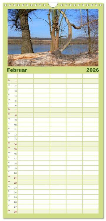 Produktbild: Familienplaner 2026 - Wald und Baum 2026 mit 5 Spalten (Wandkalender, 21 x 45 cm) CALVENDO