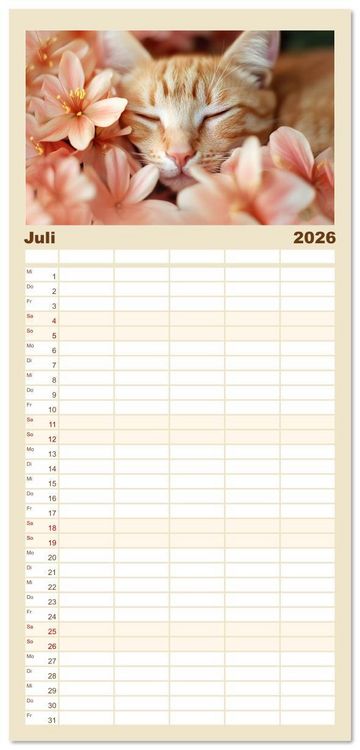 Produktbild: Familienplaner 2026 - Katzen - sanfte Sch&ouml;nheiten mit 5 Spalten (Wandkalender, 21 x 45 cm) CALVENDO