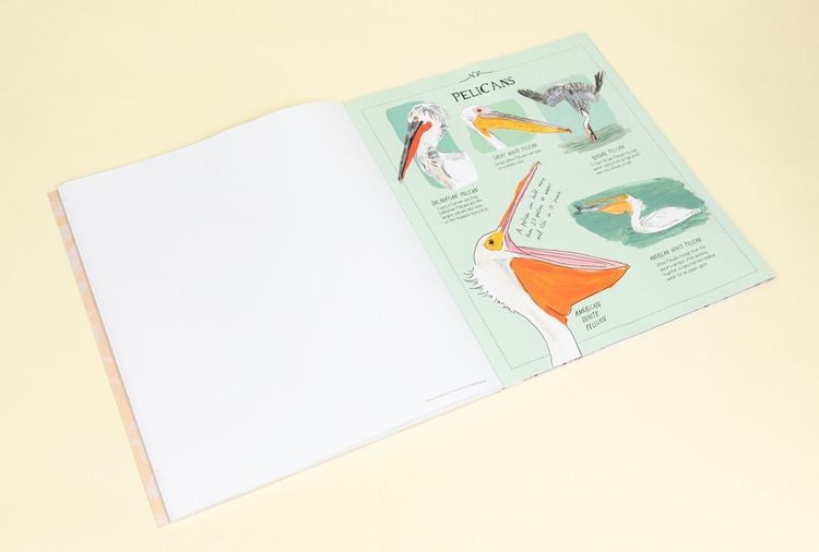 Produktbild: Bird Anatomy Posters