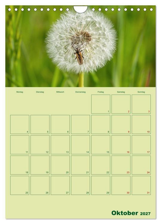 Produktbild: Die Welt der Insekten (Wandkalender 2027 DIN A4 hoch), CALVENDO Monatskalender
