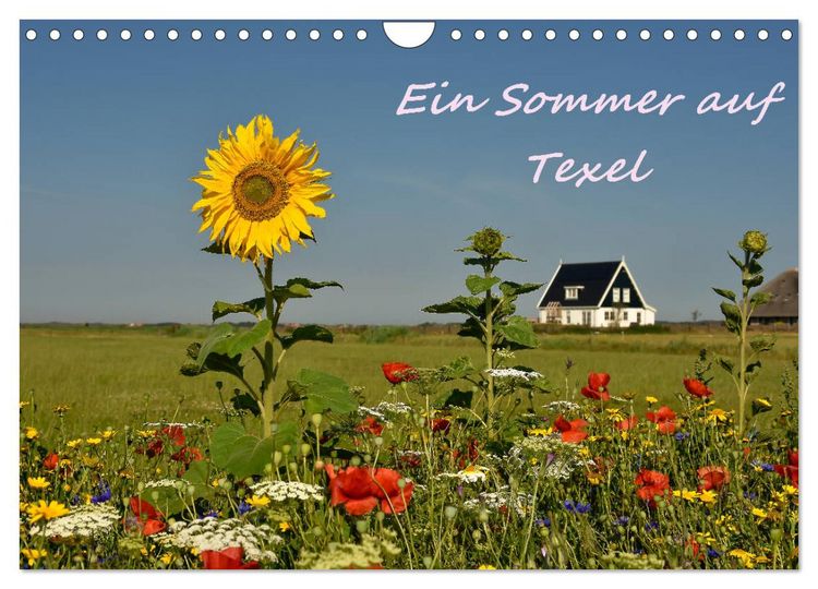 Produktbild: Ein Sommer auf Texel (Wandkalender 2026 DIN A4 quer), CALVENDO Monatskalender