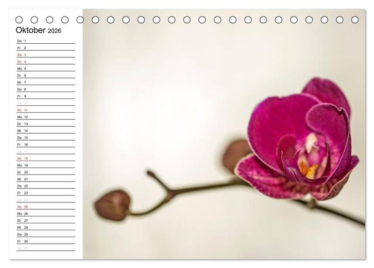 Produktbild: Bl&uuml;tenzauber Orchideen (Tischkalender 2026 DIN A5 quer), CALVENDO Monatskalender