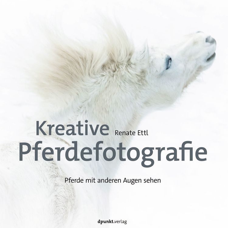 Produktbild: Kreative Pferdefotografie