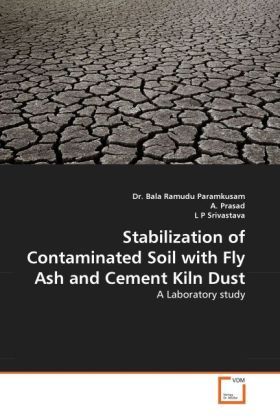 Produktbild: Paramkusam, D: Stabilization of Contaminated Soil with Fly A
